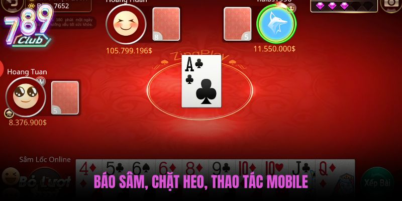 bao-sam-chat-heo-thao-tac-mobile
