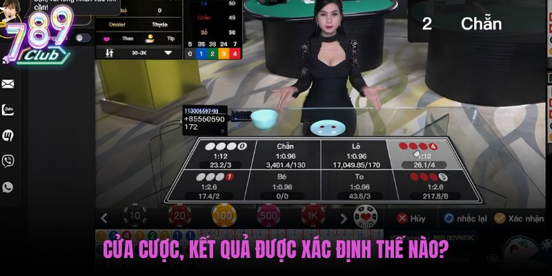 cua-cuoc-ket-qua-duoc-xac-dinh-the-nao cua-cuoc-ket-qua-duoc-xac-dinh-the-nao