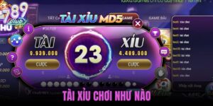 tài xỉu chơi như nào