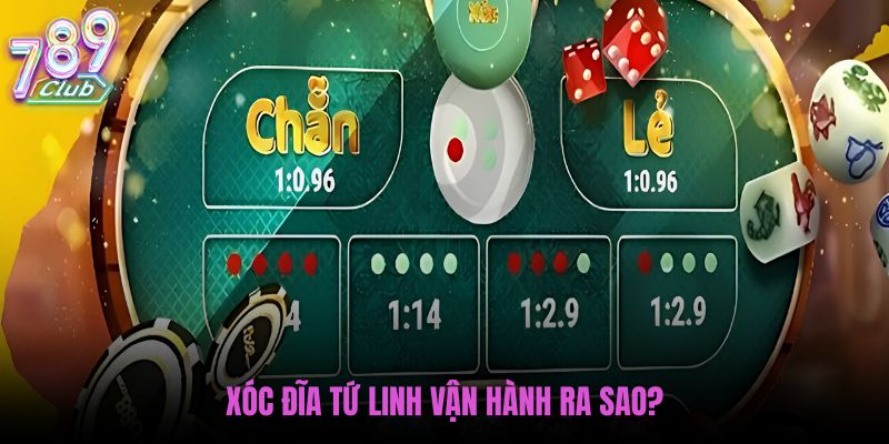 xoc-dia-tu-linh-van-hanh-ra-sao xoc-dia-tu-linh-van-hanh-ra-sao