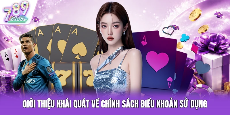 Giới thiệu khái quát về chính sách điều khoản sử dụng